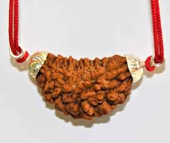 1 Mukhi Rudraksha Pendant